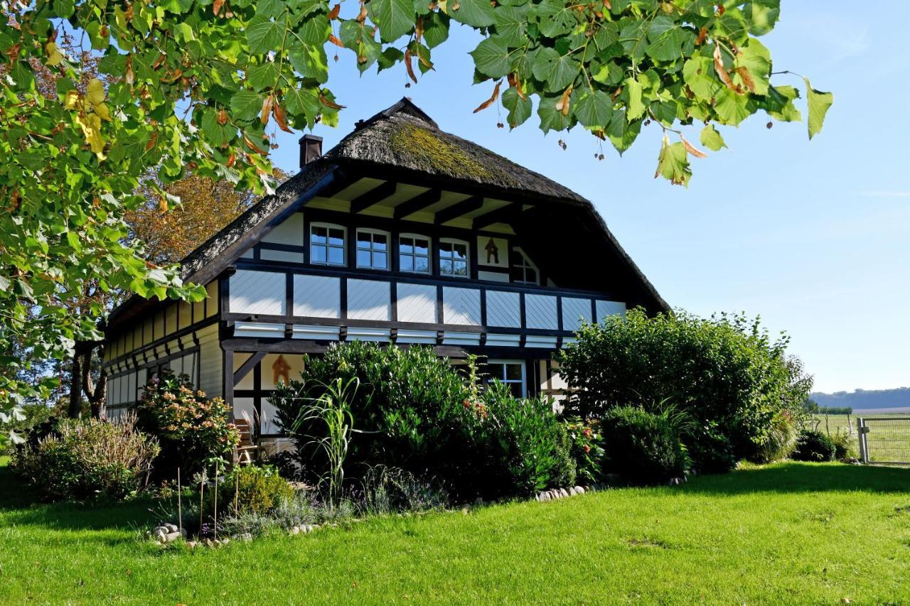 Reetdachfachwerkvilla Am Wiesengrund Bergen Auf Rugen Luaran gambar